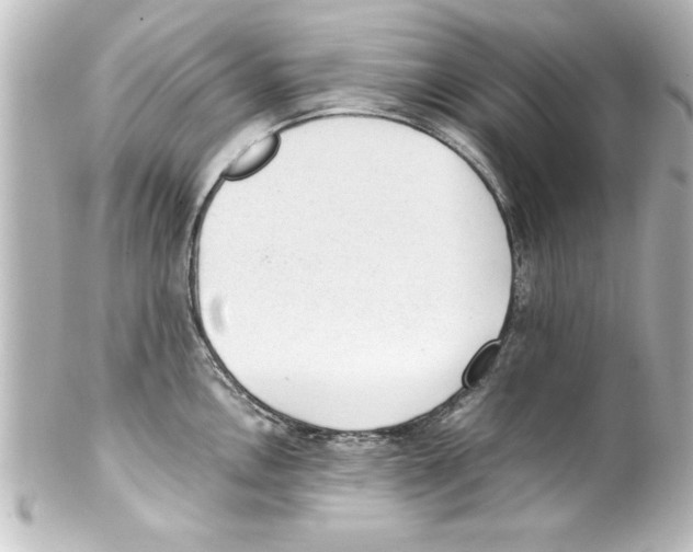 X0000100191146200806271612