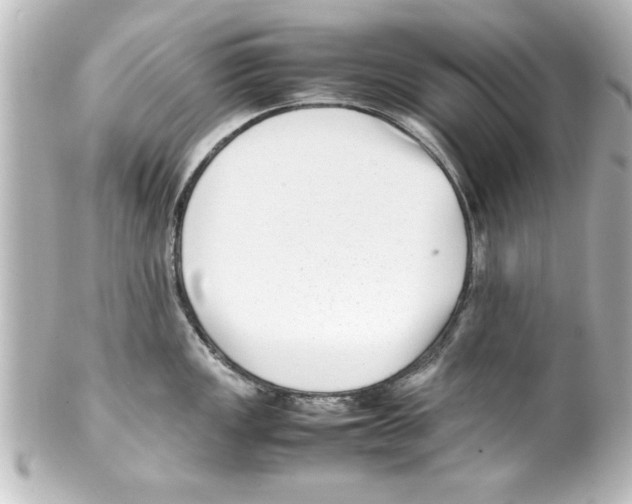 X0000100191149200806271613