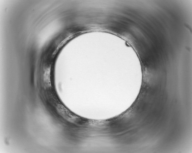 X0000100191150200806271613