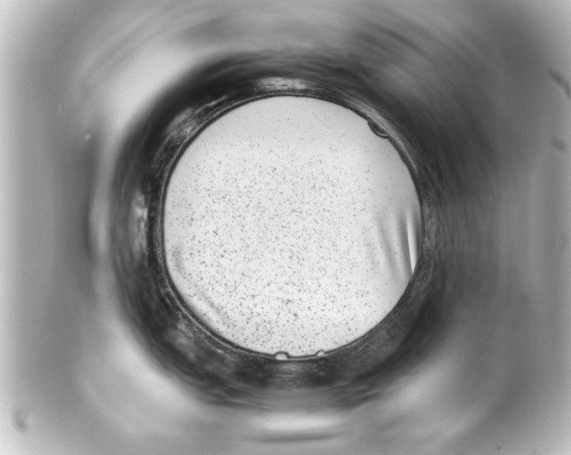 X0000100191151200806271613