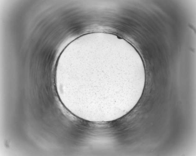 X0000100191152200806271613
