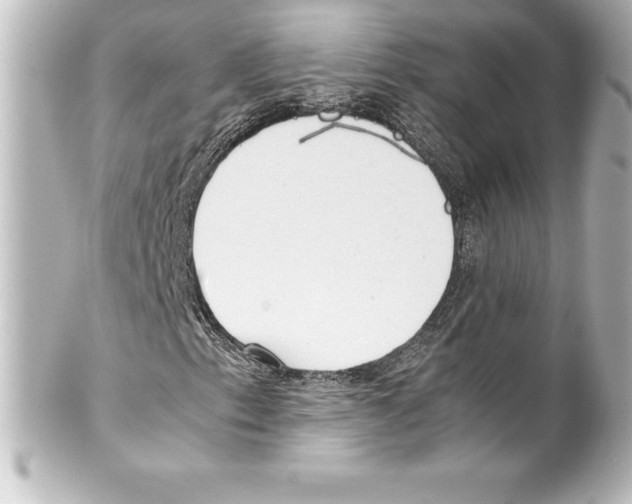 X0000100191153200806271612