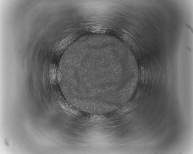 X0000100191154200806271612