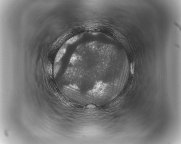 X0000100191155200806271612