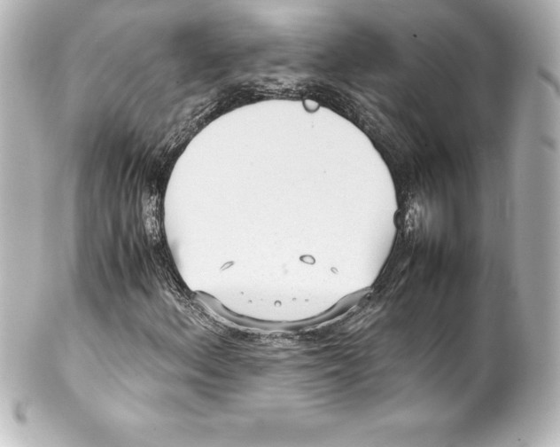 X0000100191156200806271612
