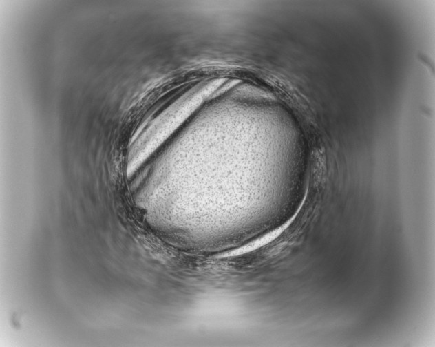 X0000100191157200806271612