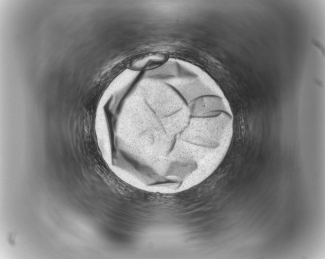 X0000100191158200806271612
