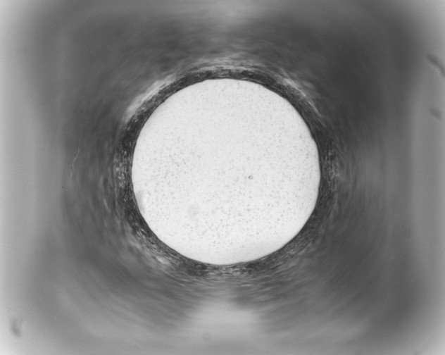 X0000100191159200806271612