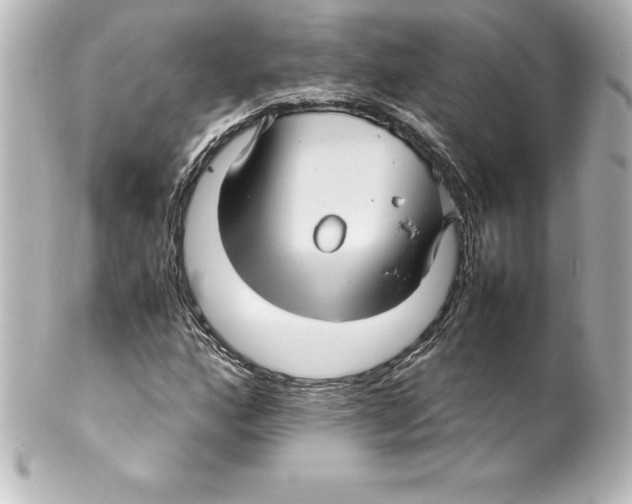 X0000100191160200806271612