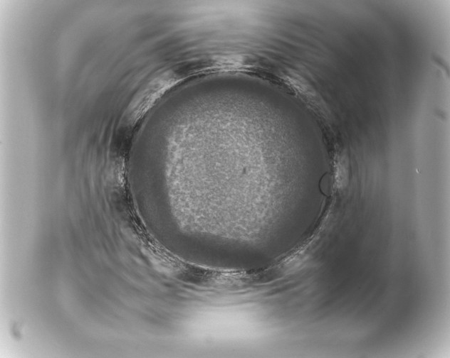 X0000100191161200806271612