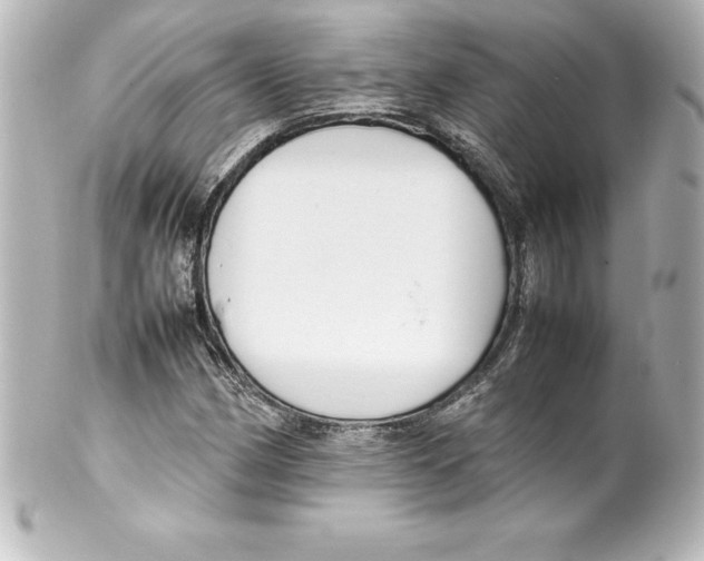 X0000100191162200806271612