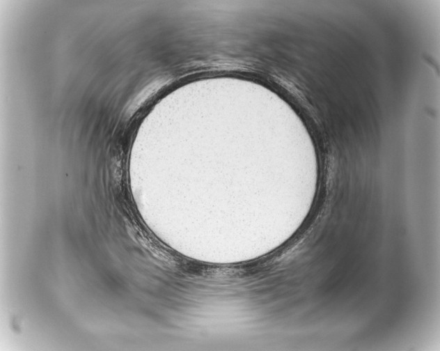 X0000100191163200806271612