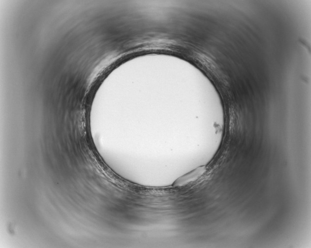 X0000100191164200806271612