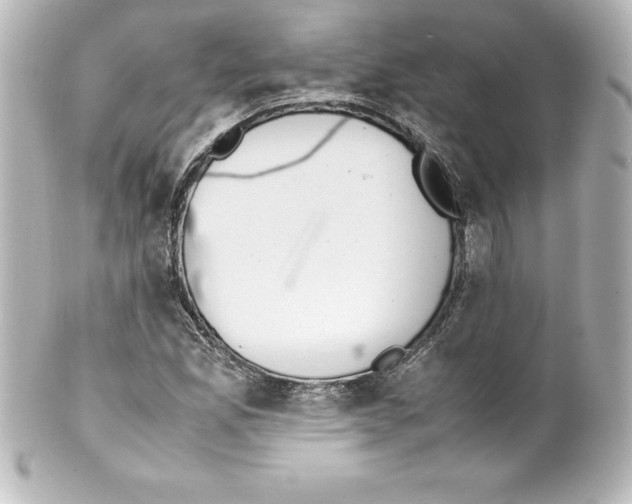 X0000100191165200806271612