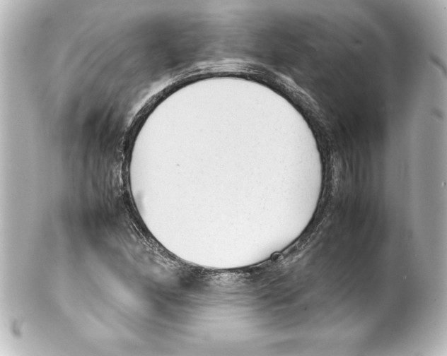 X0000100191166200806271612