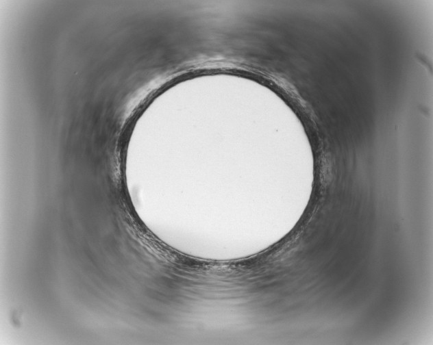 X0000100191167200806271612