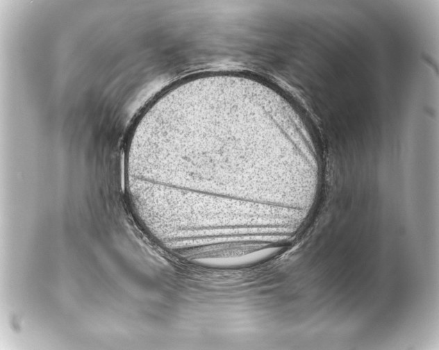 X0000100191171200806271612