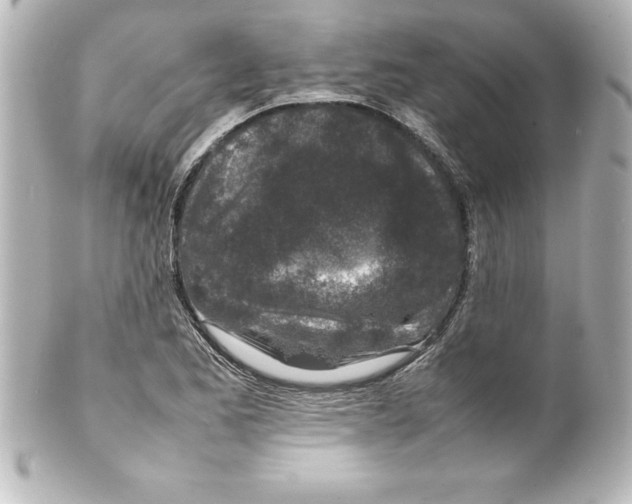 X0000100191173200806271612