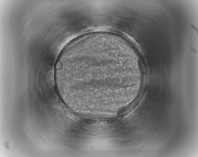 X0000100191174200806271612