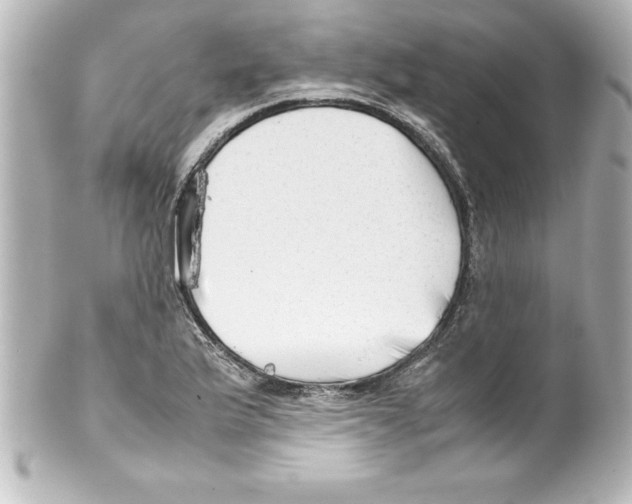 X0000100191175200806271612