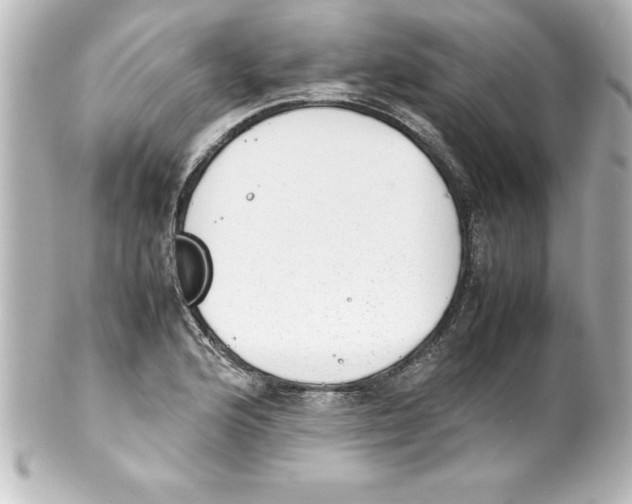 X0000100191176200806271611