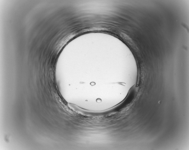 X0000100191177200806271611