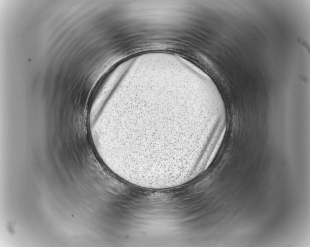 X0000100191178200806271611
