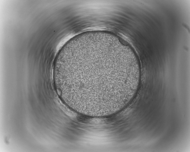 X0000100191179200806271611