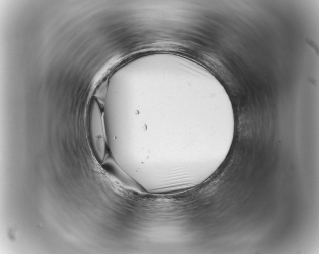 X0000100191180200806271611
