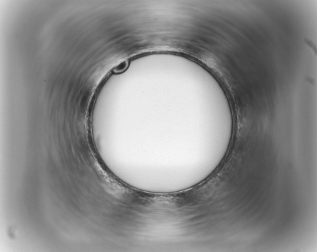 X0000100191181200806271611