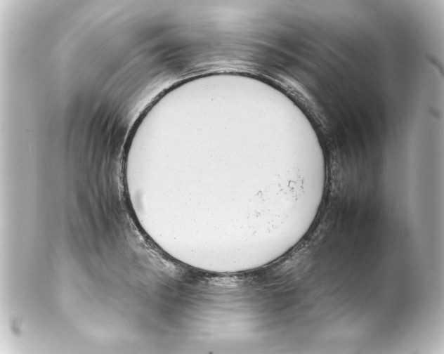X0000100191182200806271611