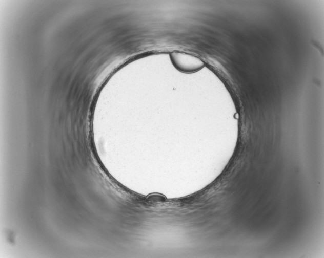 X0000100191183200806271611