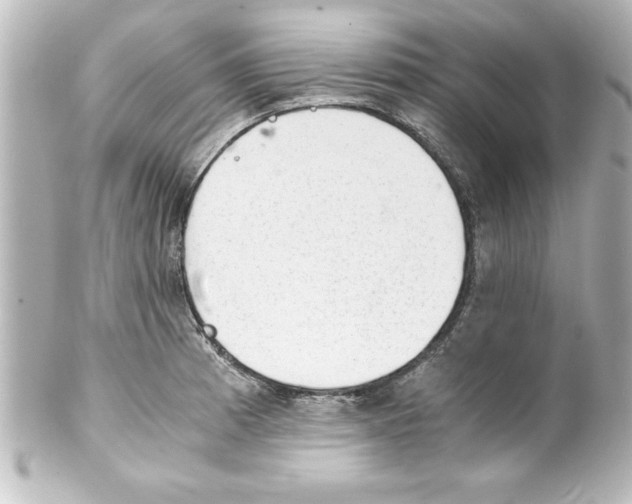X0000100191185200806271611