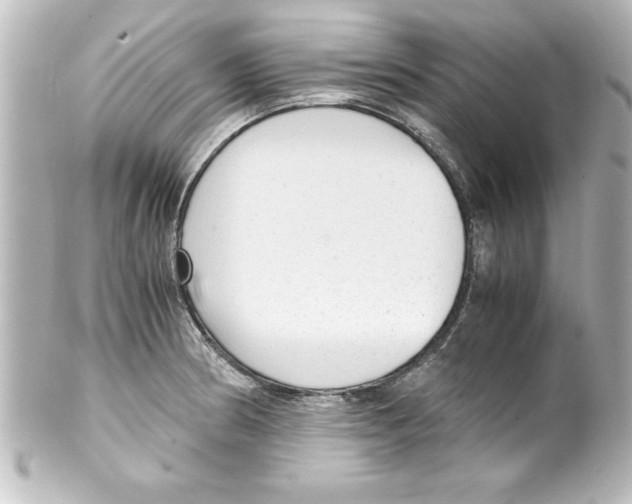 X0000100191186200806271611