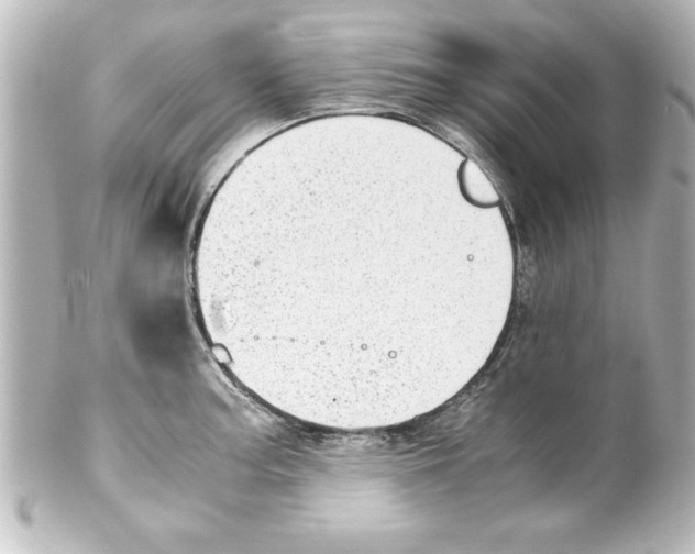 X0000100191187200806271611