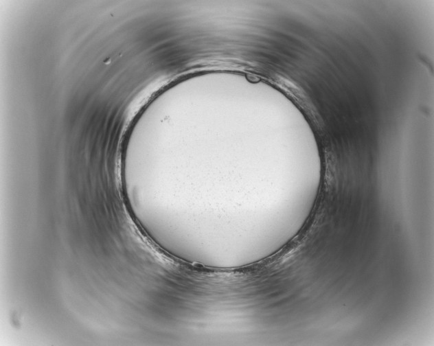 X0000100191188200806271611