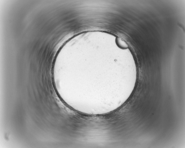 X0000100191189200806271611