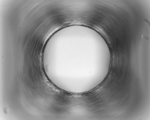 X0000100191190200806271611