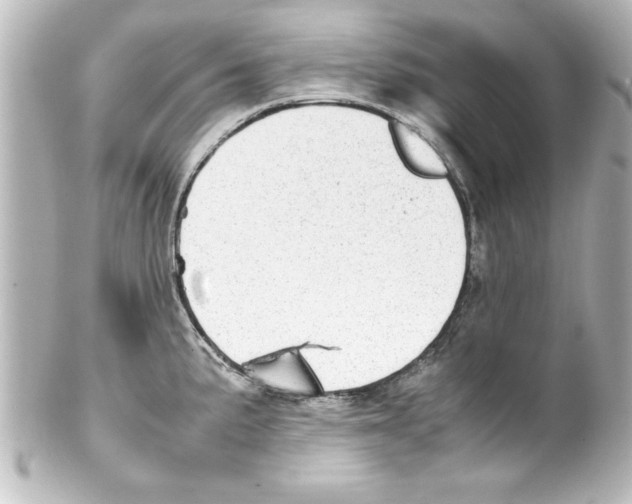 X0000100191191200806271611