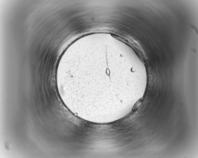 X0000100191192200806271611