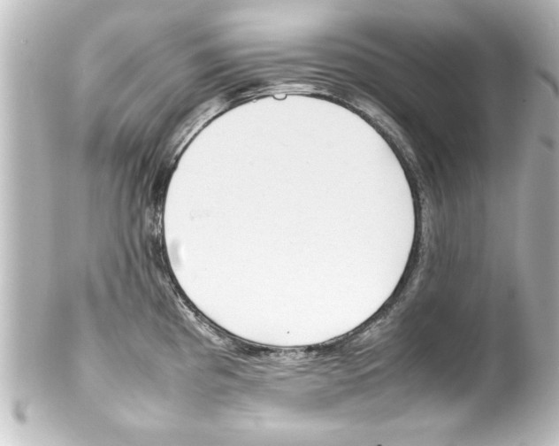 X0000100191193200806271611