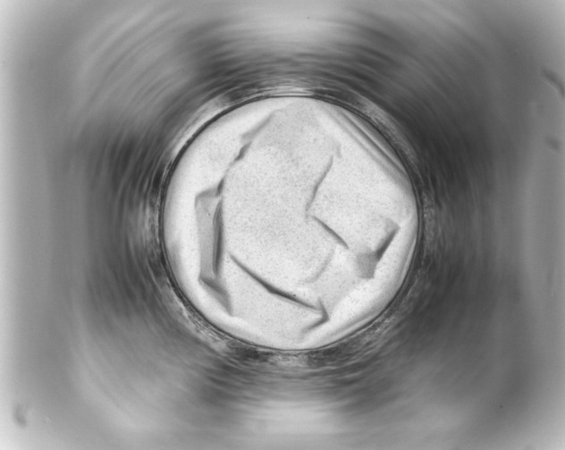 X0000100191194200806271611
