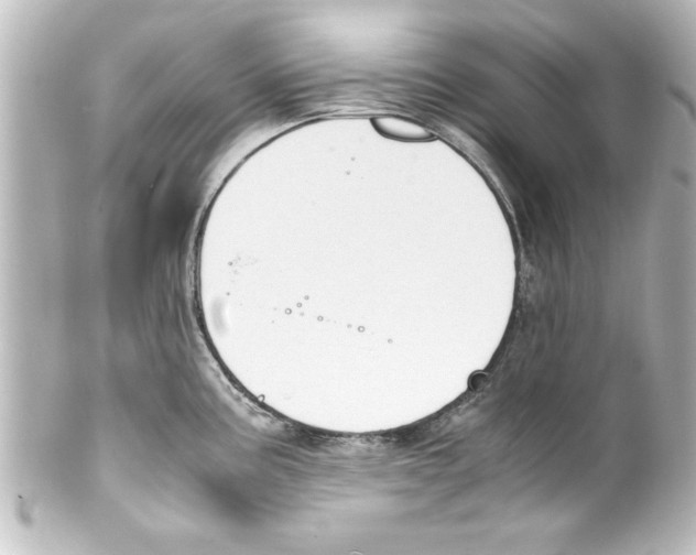X0000100191195200806271611
