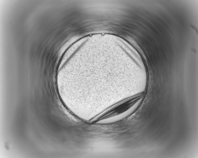 X0000100191197200806271611