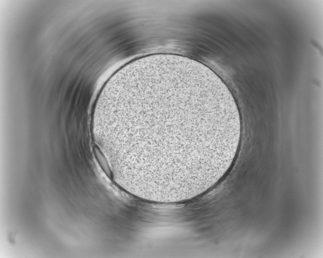 X0000100191200200806271611