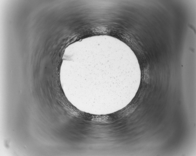 X0000100191201200806271610