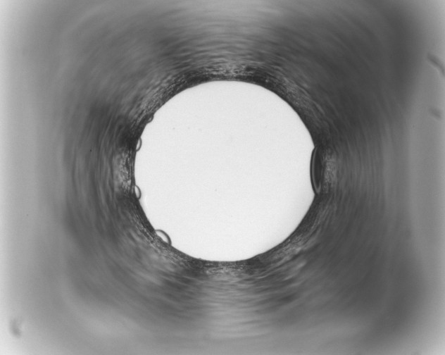 X0000100191202200806271610