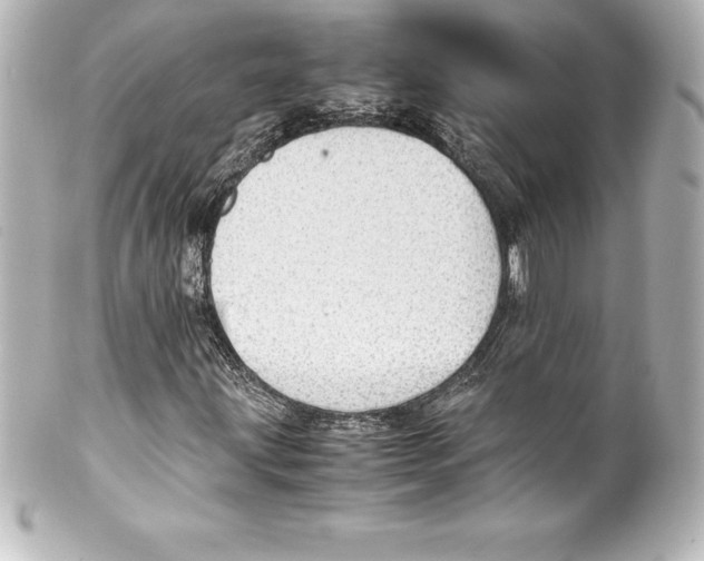 X0000100191203200806271610