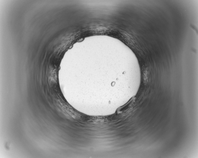 X0000100191204200806271610