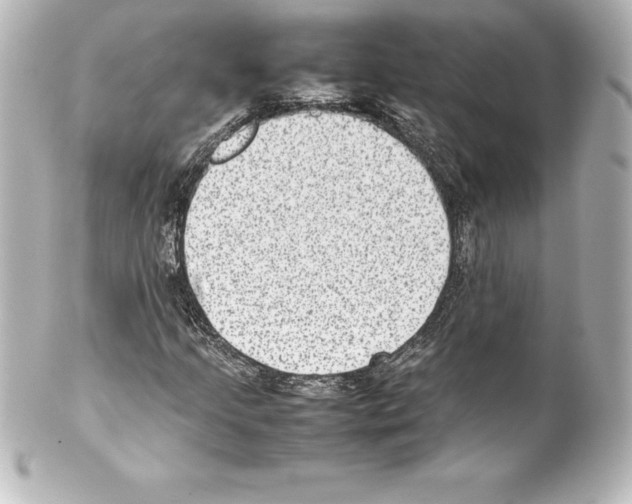 X0000100191205200806271610